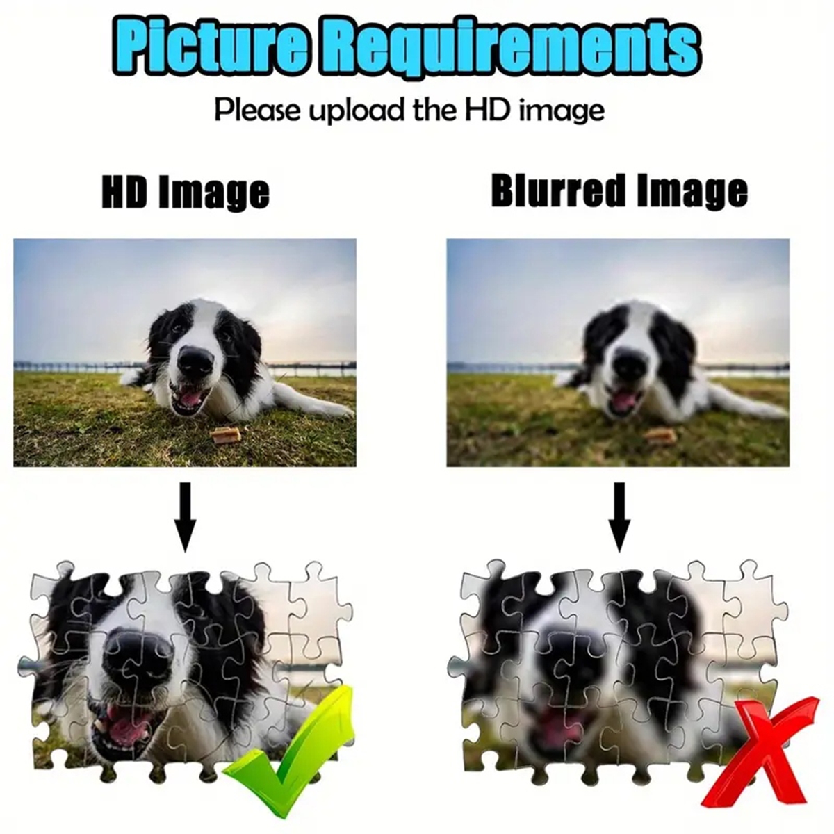 35/300/500/1000pcs Personalize - Pet Portrait Custom review and price