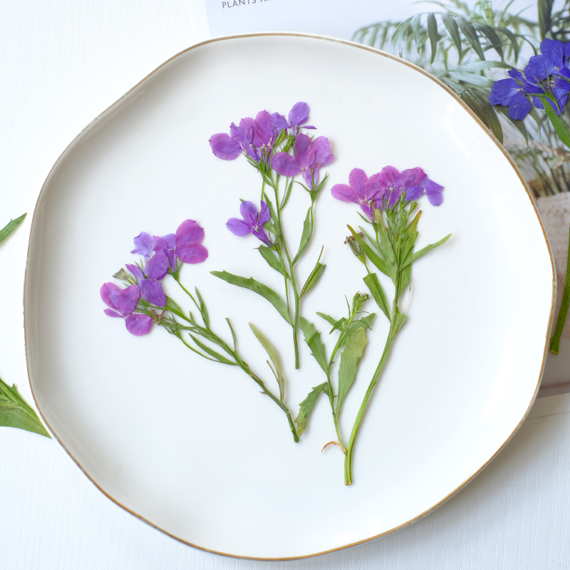 6pcs/8-13cm,nature Lobelia Eri - Dried Flower Bookmark review and price