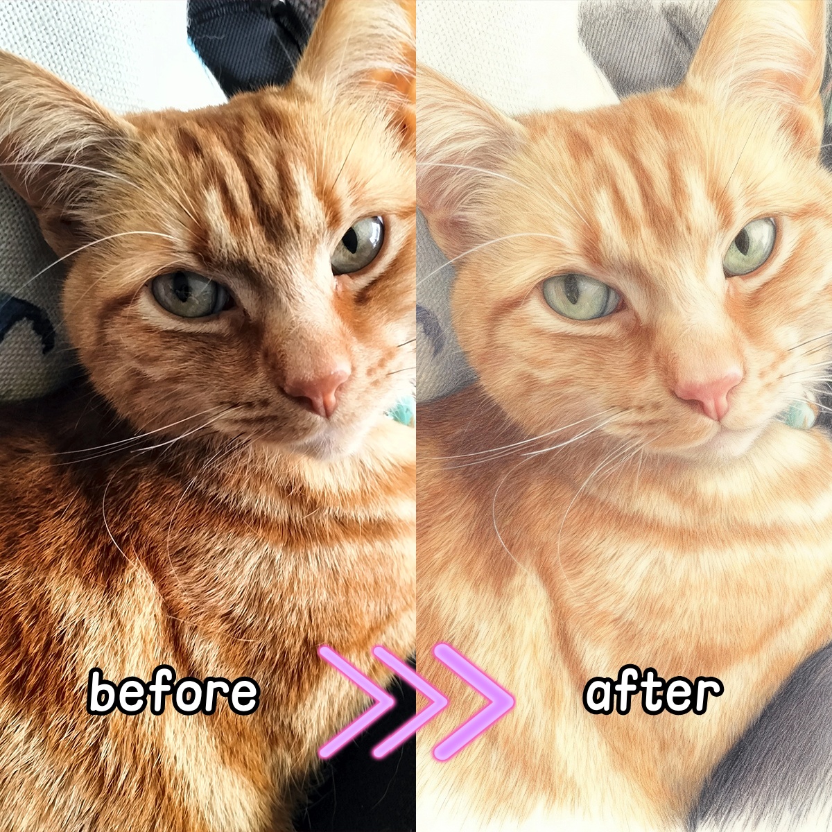 Personalized Custom Colored Pe - Pet Portrait Custom review and price